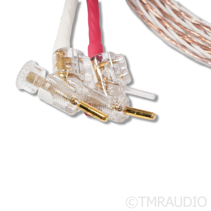 Kimber Kable 8TC Speaker Cables; 8ft