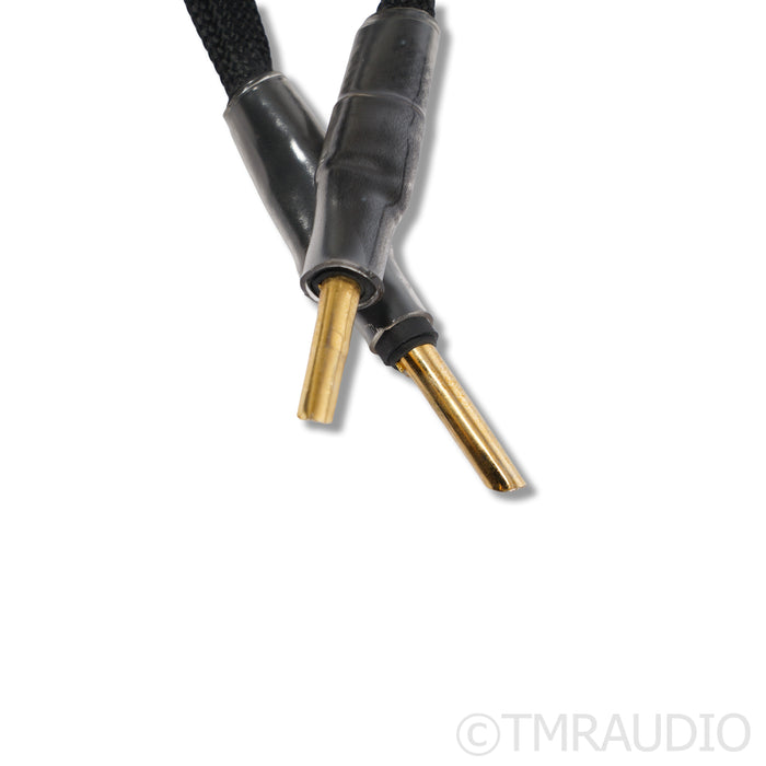 Synergistic Research Foundation Speaker Cables; 8ft