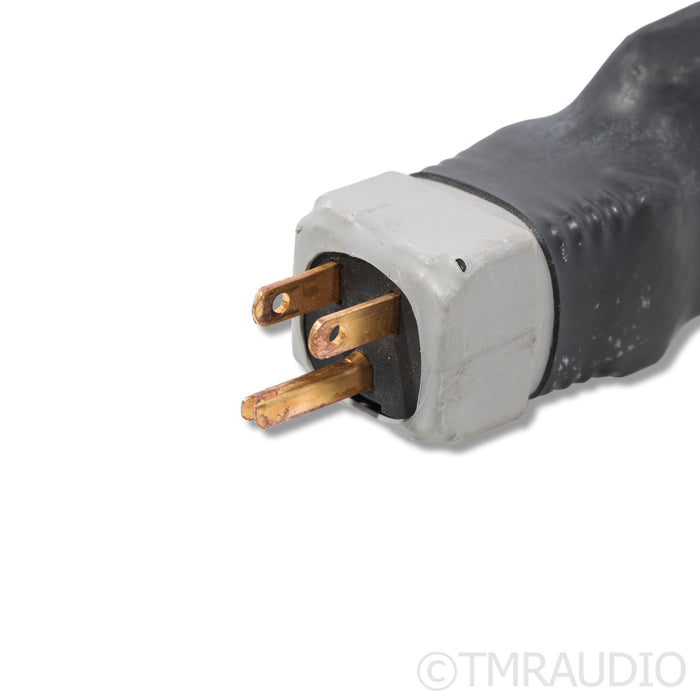 Elrod Power Systems EPS-3 Signature Power Cable; 2.75m