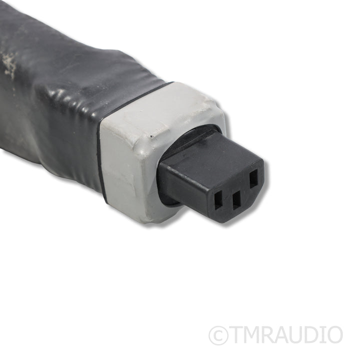 Elrod Power Systems EPS-3 Signature Power Cable; 2.75m
