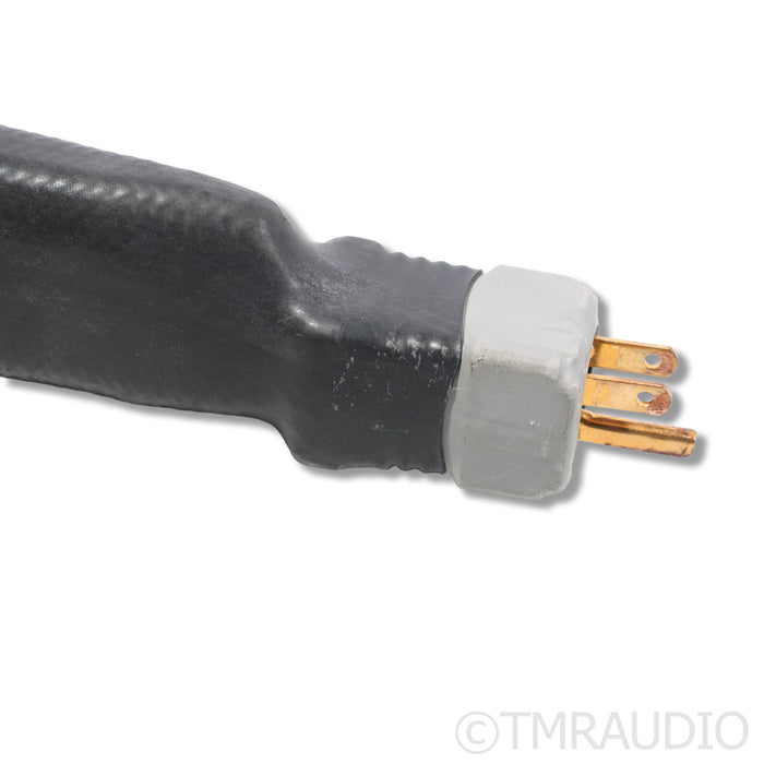 Elrod Power Systems EPS-3 Signature Power Cable; 2.75m