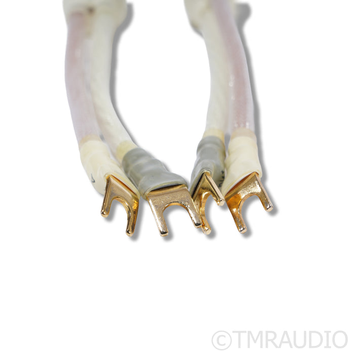 Shunyata Research Constellation Series Lyra Speaker Cables; 3m