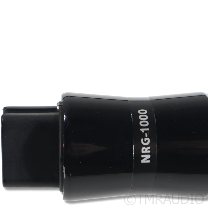 AudioQuest NRG-1000 Power Cable; 1m; C19