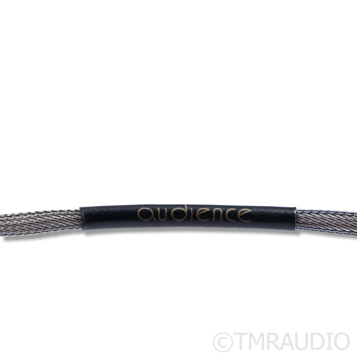 Audience Au24 SX RCA Cables; 1m