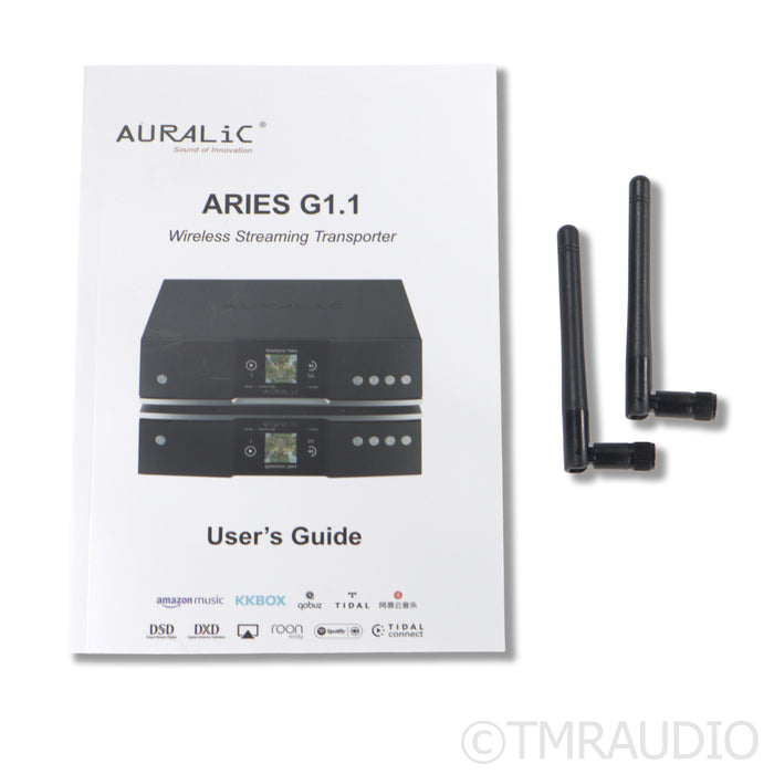 Auralic Aries G1.1 Streaming  Transport