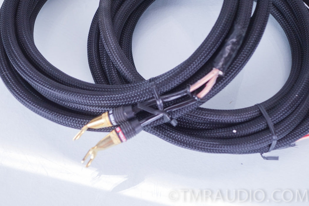 Monster Z-Series Z2R Speaker Cables