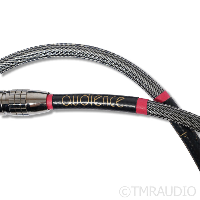 Audience Au24 SX XLR Cables; 1m