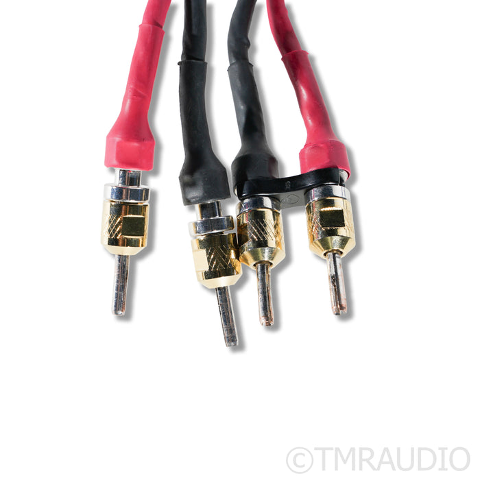 Cardas Clear Sky X4 Speaker Cables; 2m