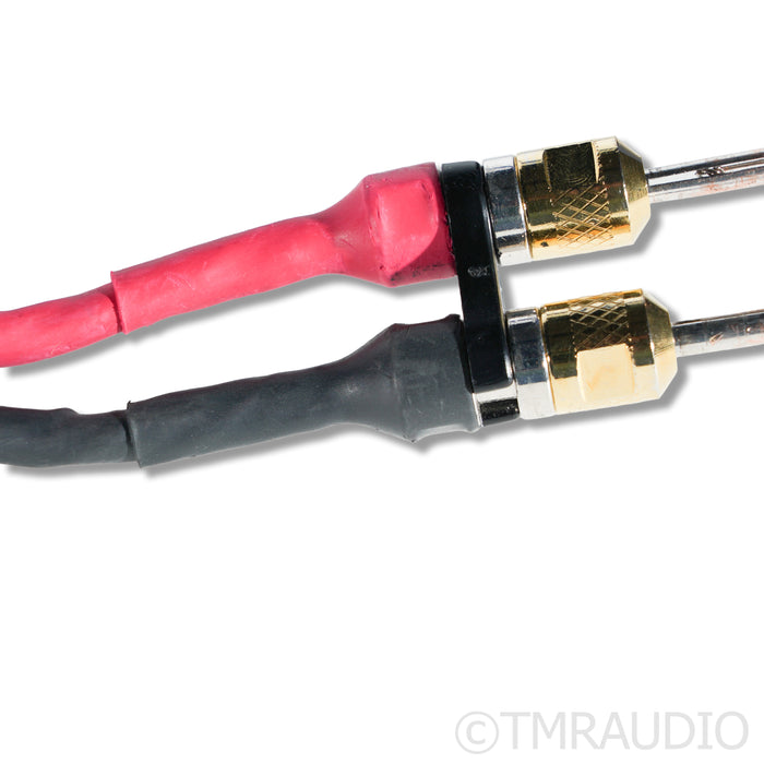 Cardas Clear Sky X4 Speaker Cables; 2m