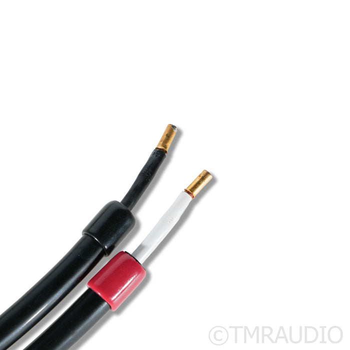 Transparent Audio MM2 MusicWave Plus Speaker Cables; 3m