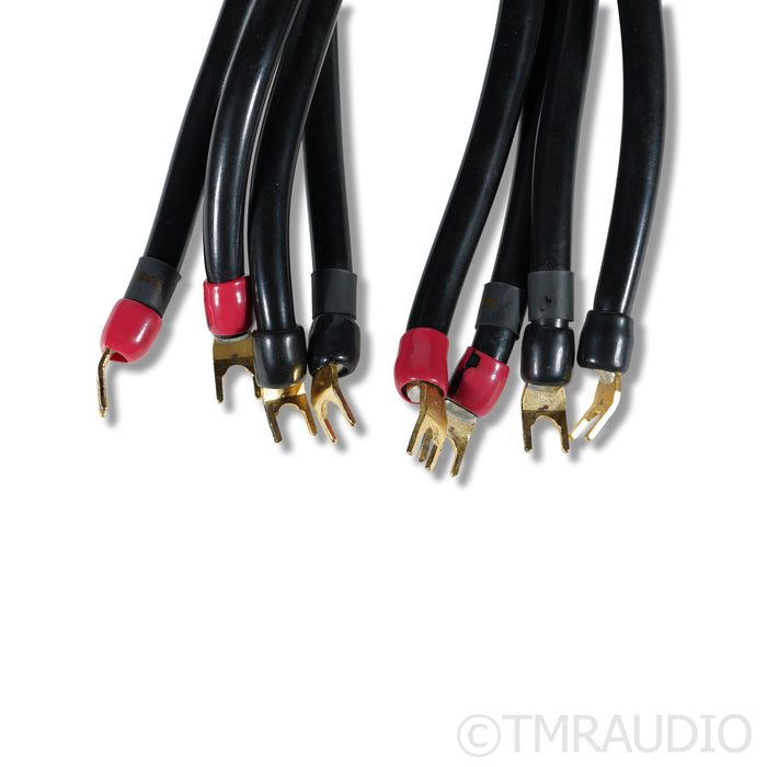 Transparent Audio MusicWave Ultra MM2 Bi-Wire Speaker Cables; 3m