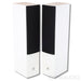 DALI Rubicon 5 Floorstanding Speakers