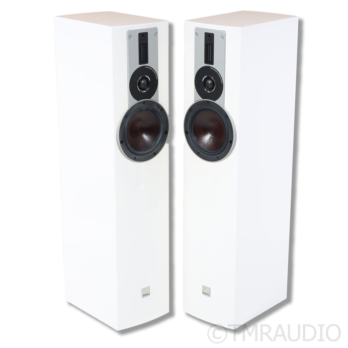 DALI Rubicon 5 Floorstanding Speakers