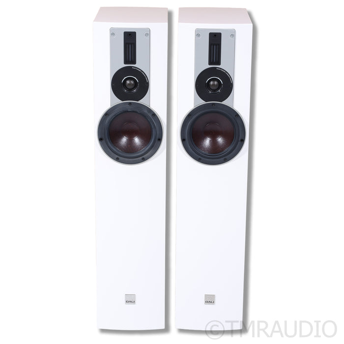 DALI Rubicon 5 Floorstanding Speakers