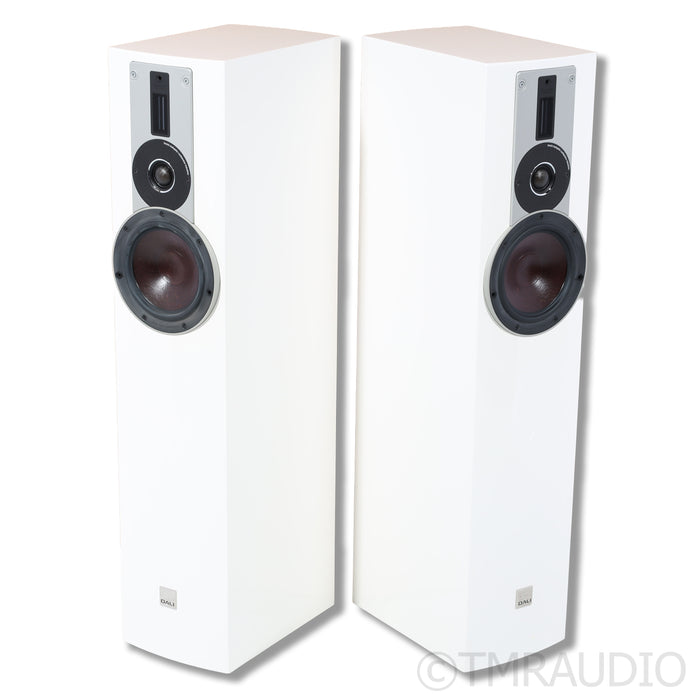 DALI Rubicon 5 Floorstanding Speakers