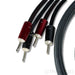 AudioQuest Dragon ZERO Speaker Cables; 2m