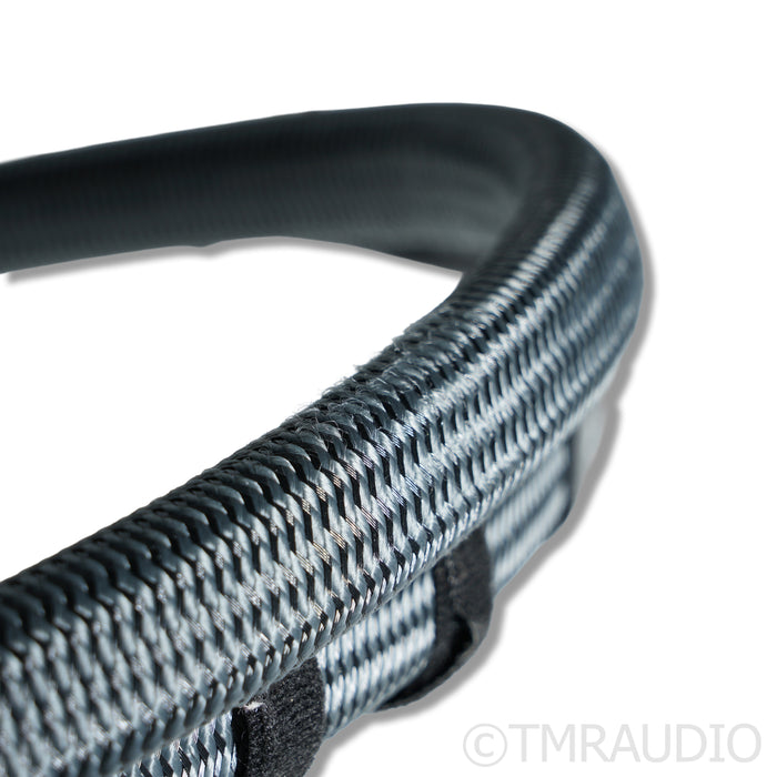 AudioQuest Dragon ZERO Speaker Cables; 2m