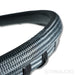 AudioQuest Dragon ZERO Speaker Cables; 2m