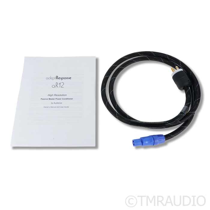 Audience AdeptResponse aR12 Power Conditioner