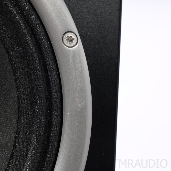 Zu Audio Omen Dirty Weekend Floorstanding Speakers