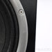 Zu Audio Omen Dirty Weekend Floorstanding Speakers