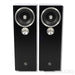 Zu Audio Omen Dirty Weekend Floorstanding Speakers