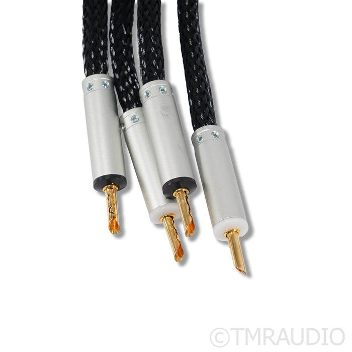 Ansuz Speakz A2 Speaker Cables; 4m