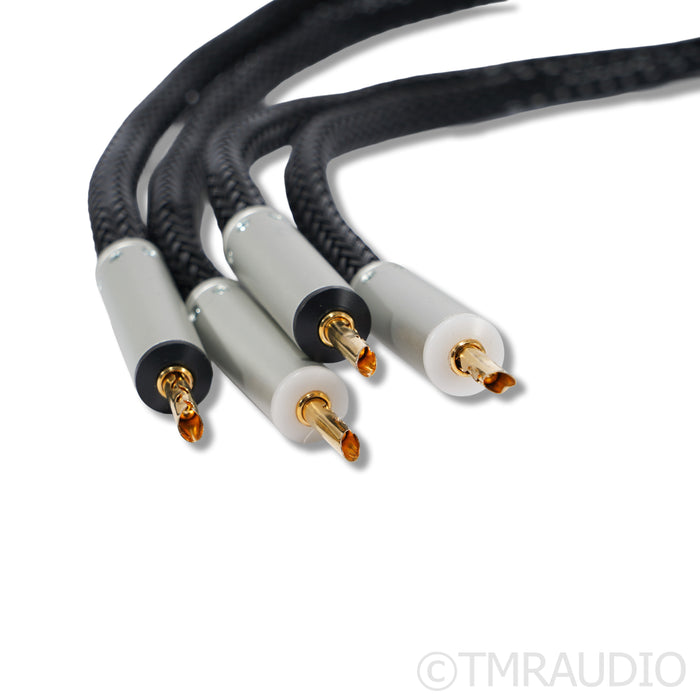 Ansuz Speakz A2 Speaker Cables; 4m