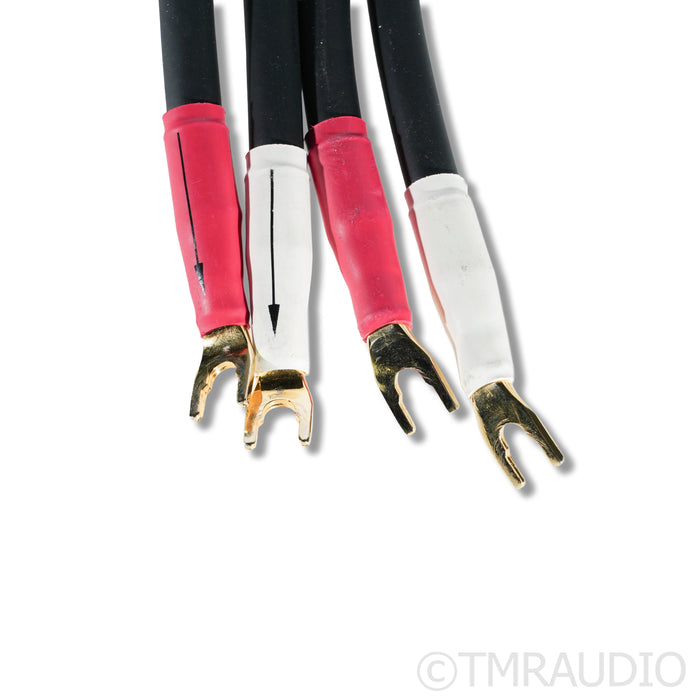 Shunyata Research Alpha v1 Speaker Cables; 2m