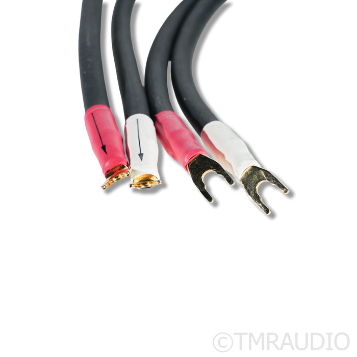 Shunyata Research Alpha v1 Speaker Cables; 2m