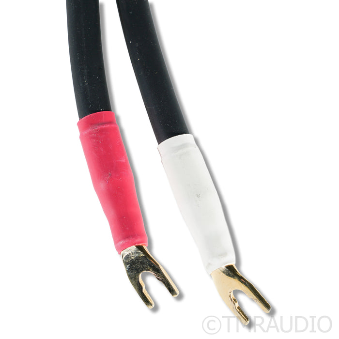 Shunyata Research Alpha v1 Speaker Cables; 2m