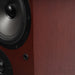 ProAc Response DT8 Floorstanding Speakers