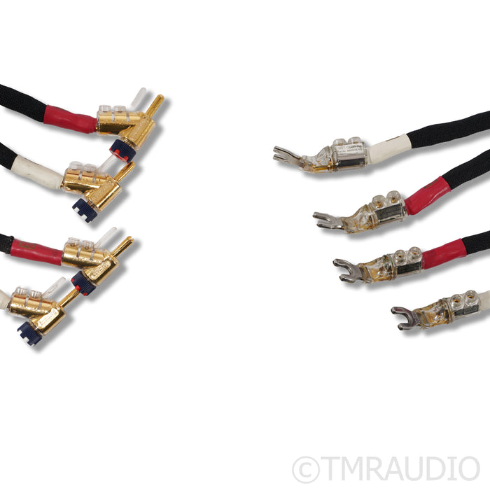 Kimber Kable Select KS3038 Speaker Cables; 4ft