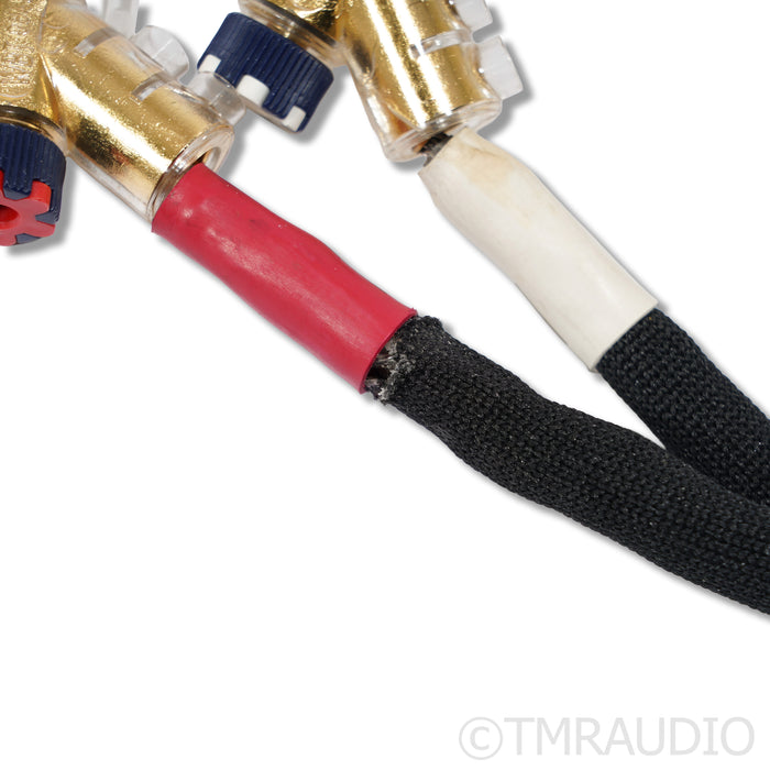 Kimber Kable Select KS3038 Speaker Cables; 4ft