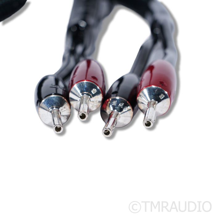 AudioQuest Rocket 88 Speaker Cables; 3m