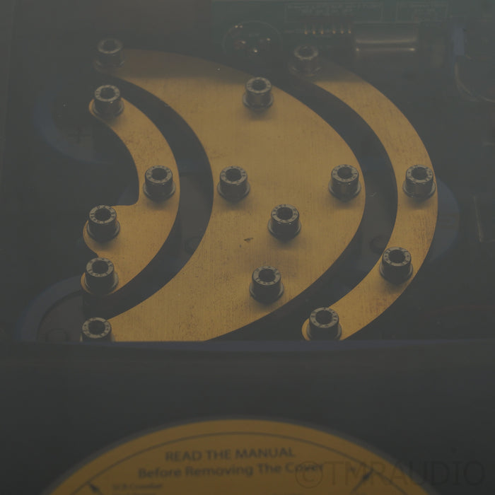 DarTZeel NHB-108 Model One Version B Power Amplifier