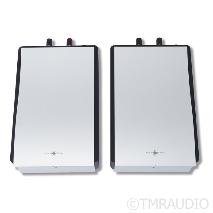 Mola Mola Kaluga Monoblock Power Amplifiers (Open Box)