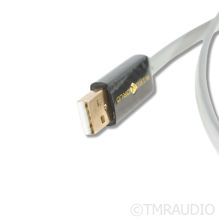 WireWorld Platinum Starlight 8 USB 2.0 Digital Cable; 1m