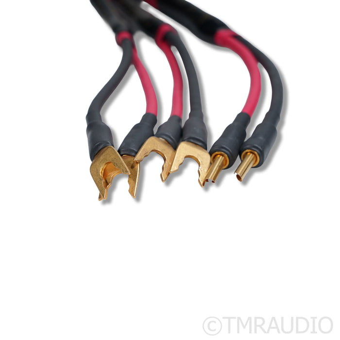 Audience Au24 SX Bi-Wired Speaker Cables; 2.5m