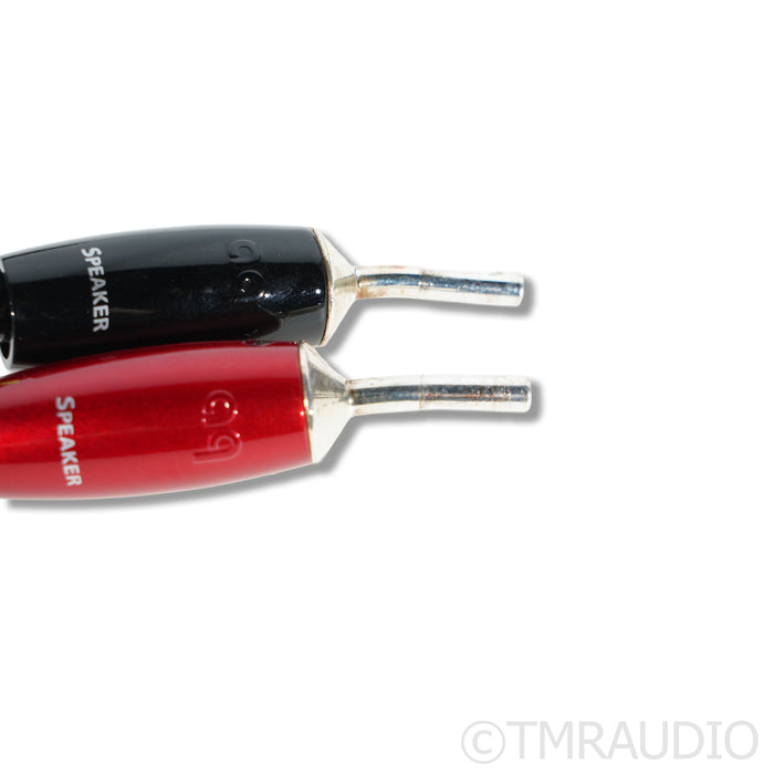 AudioQuest Rocket 88 Speaker Cables; 3m
