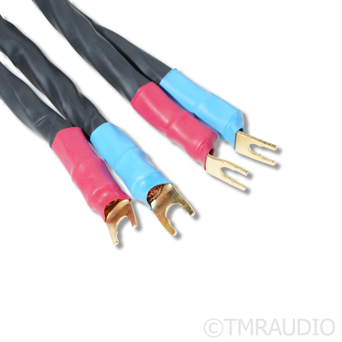 Kubala-Sosna Emotion Speaker Cables; 2m