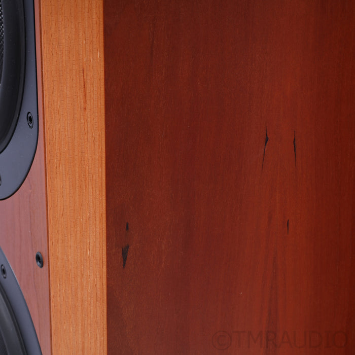 Bowers & Wilkins 802D Floorstanding Speakers