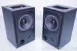 Definitive Technology BP-2 Bipolar Surround Speakers