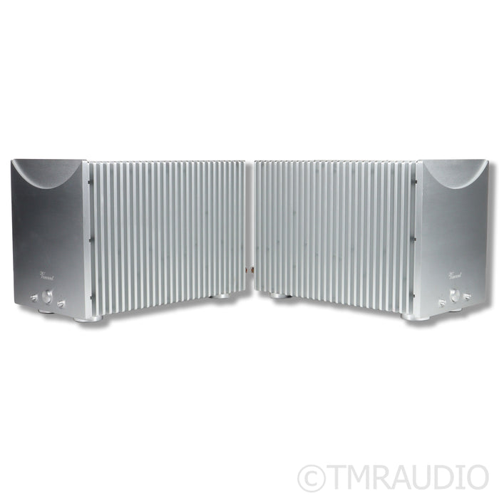 Vincent Audio SP-T800 Hybrid Monoblock Power Amplifiers