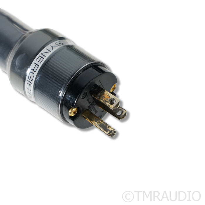 Synergistic Research Atmosphere X Excite Power Cable; 1.5m; C19