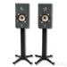 Focal Kanta No. 1 Bookshelf Speakers; Stands