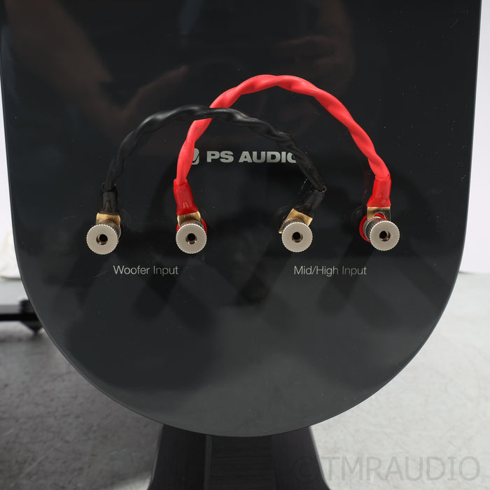 PS Audio Aspen FR30 Floorstanding Speakers