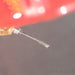 Hana Umami Red Moving Coil (MC) Cartridge