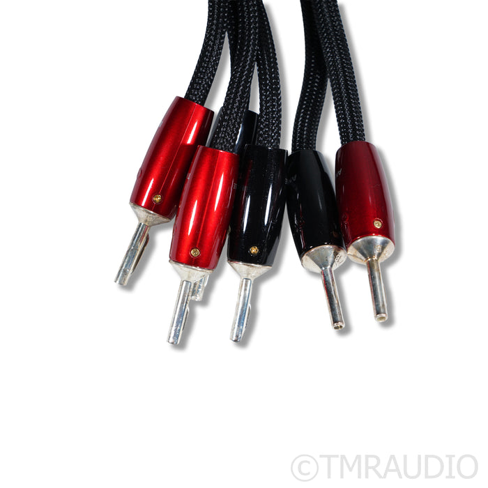 AudioQuest Obsidian Speaker Cables; 2m