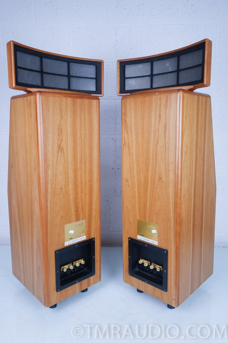 Cadence Anina Electrostatic Hybrid Floorstanding Speakers